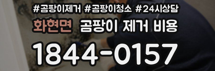 화현면 곰팡이 제거 비용