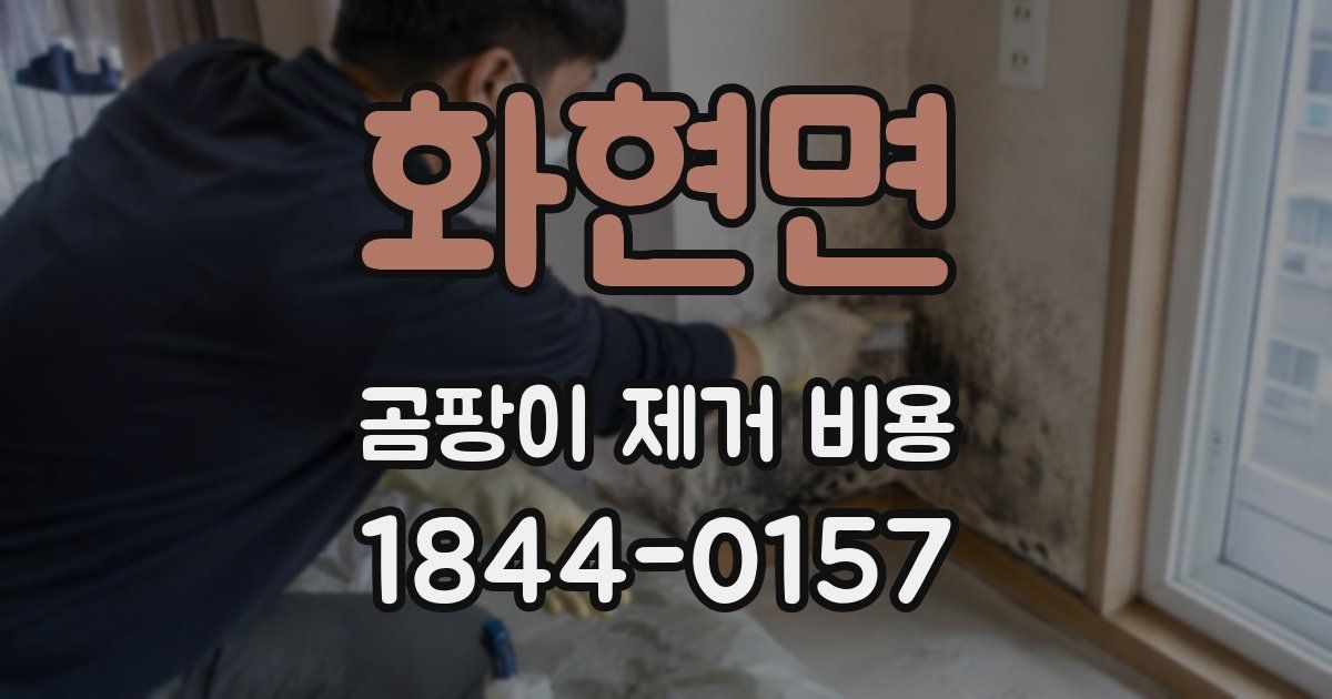 화현면 곰팡이 제거 비용