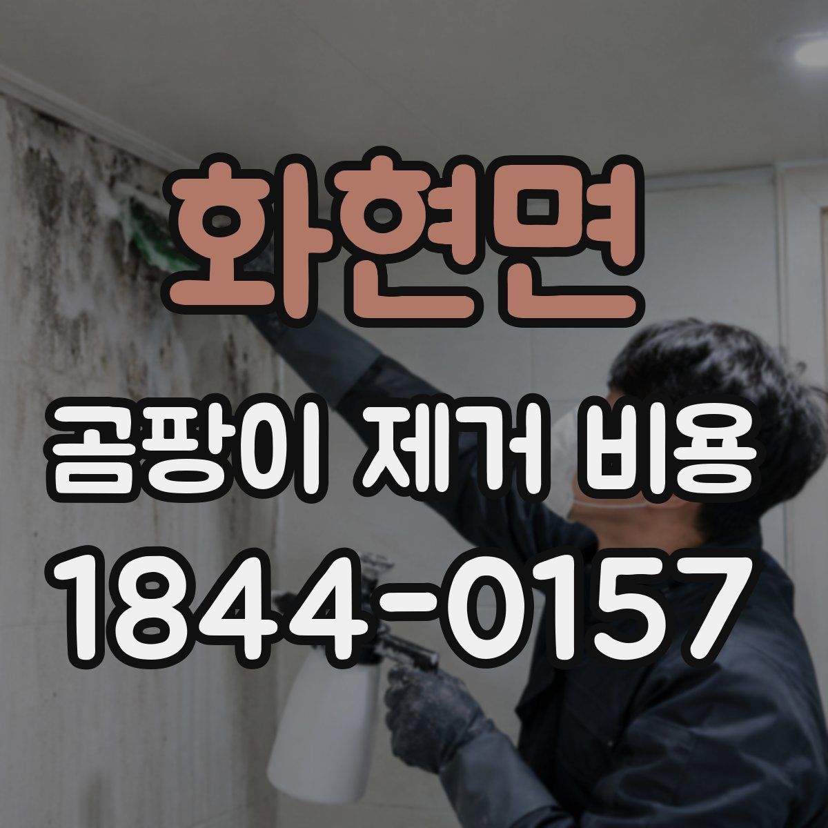 화현면 곰팡이 제거 비용