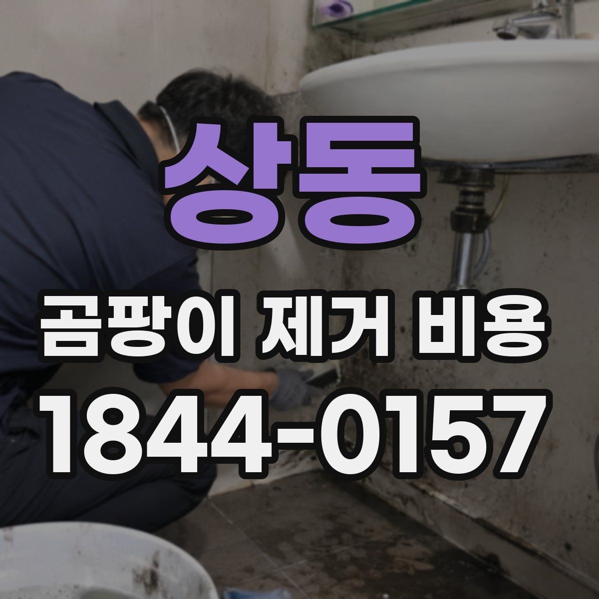 상동 곰팡이 제거 비용 누수 흔적과 곰팡이 번식 상태를 함께 보는 법