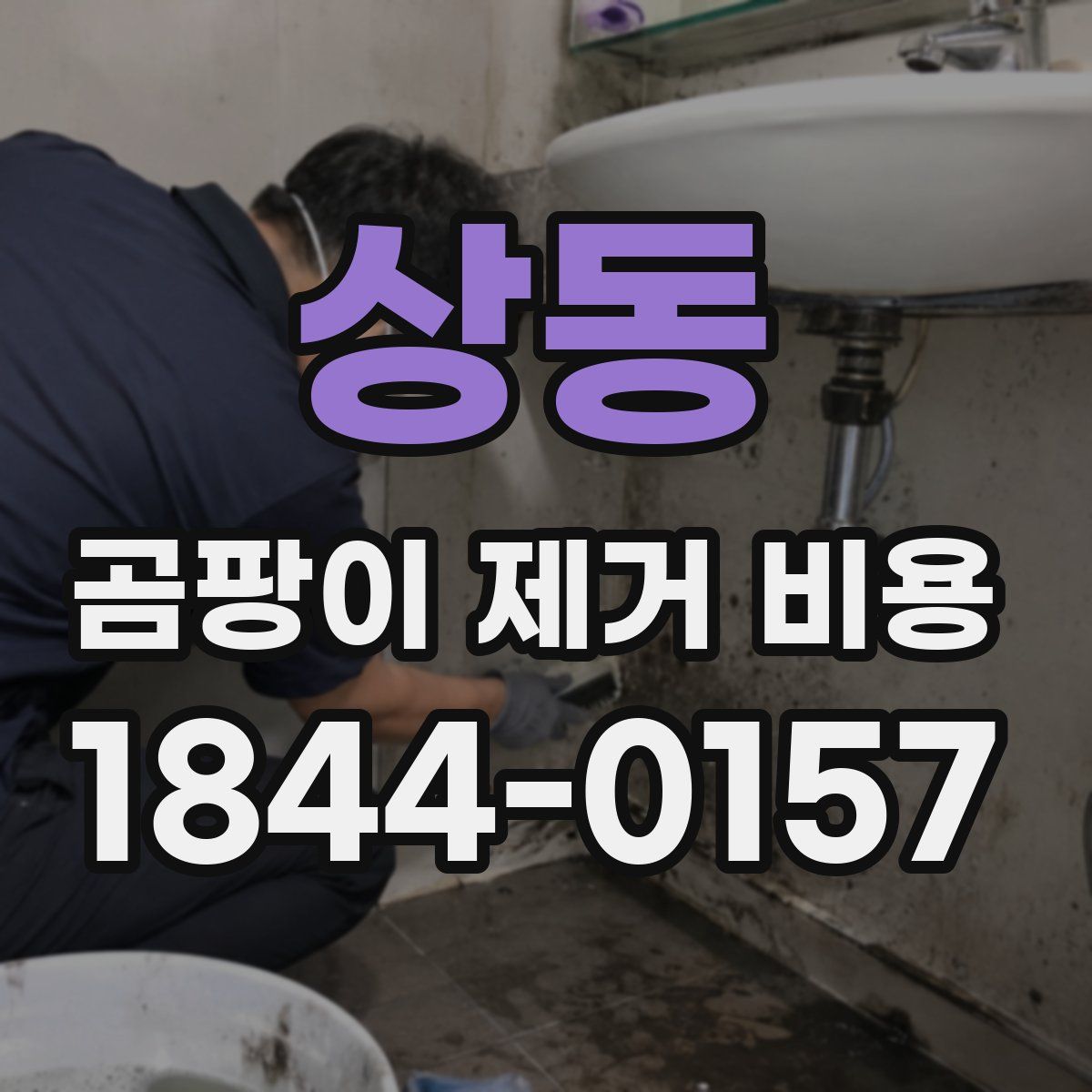상동 곰팡이 제거 비용