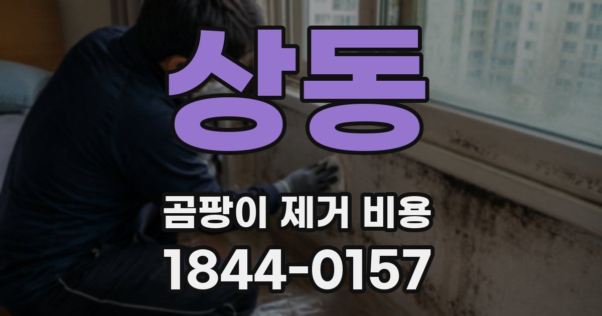상동 곰팡이 제거 비용