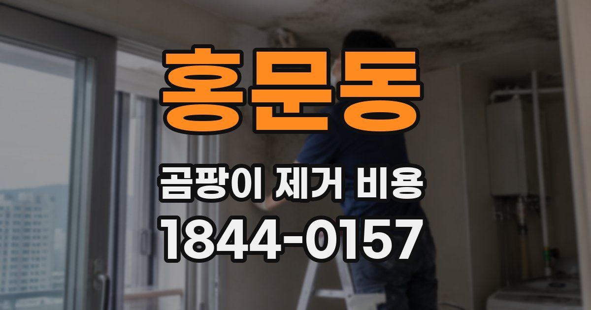 홍문동 곰팡이 제거 비용