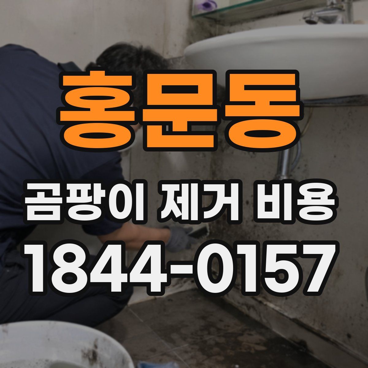 홍문동 곰팡이 제거 비용