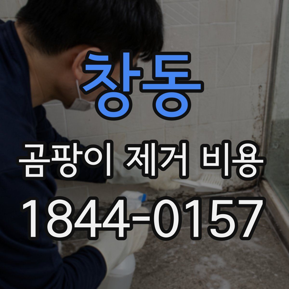 창동 곰팡이 제거 비용
