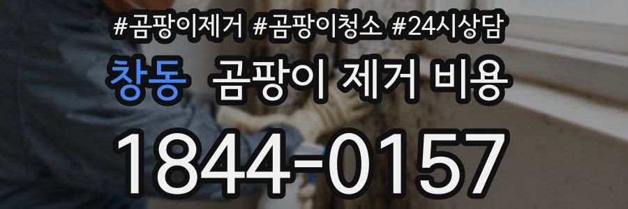 창동 곰팡이 제거 비용