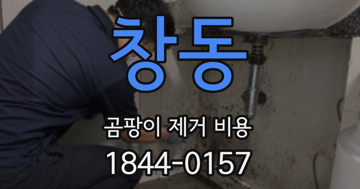 창동 곰팡이 제거 비용