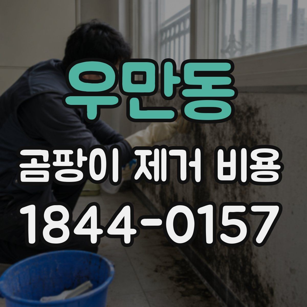 우만동 곰팡이 제거 비용 욕실 천장 오염이 넓을 때 보는 항목