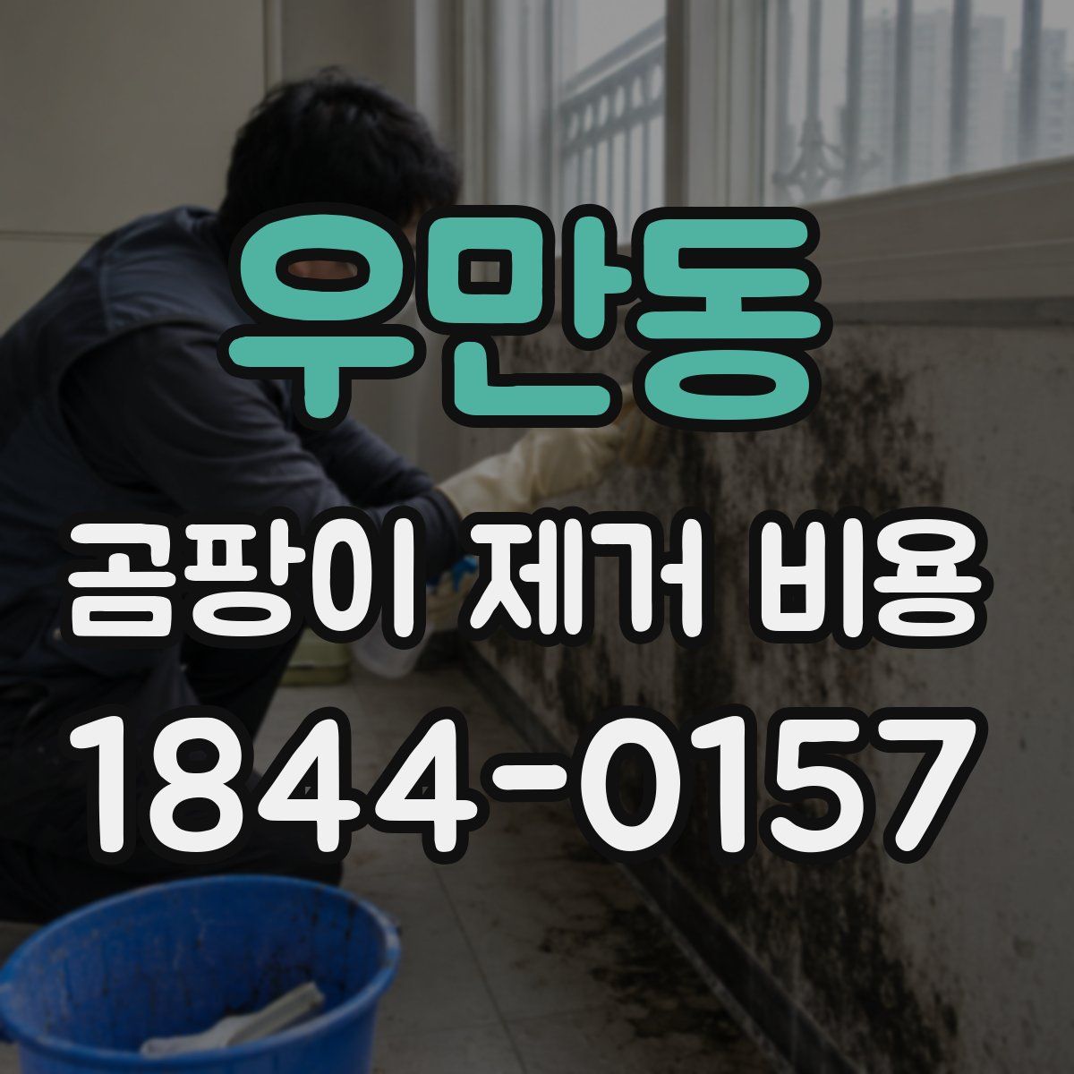 우만동 곰팡이 제거 비용