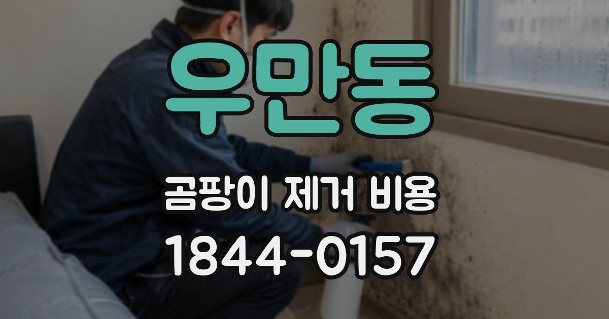 우만동 곰팡이 제거 비용