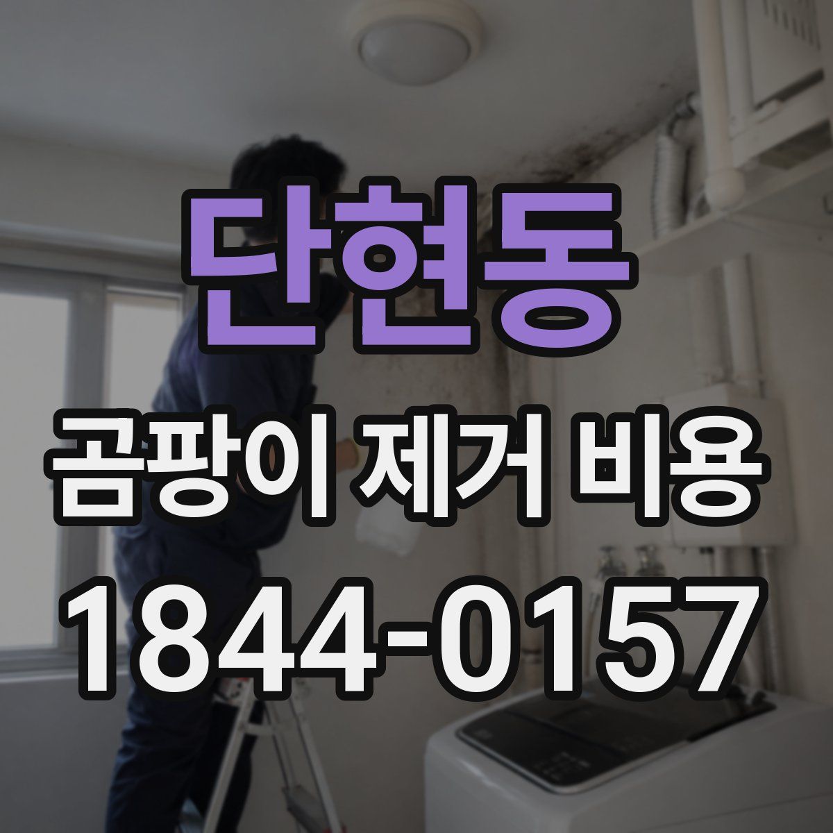 단현동 곰팡이 제거 비용