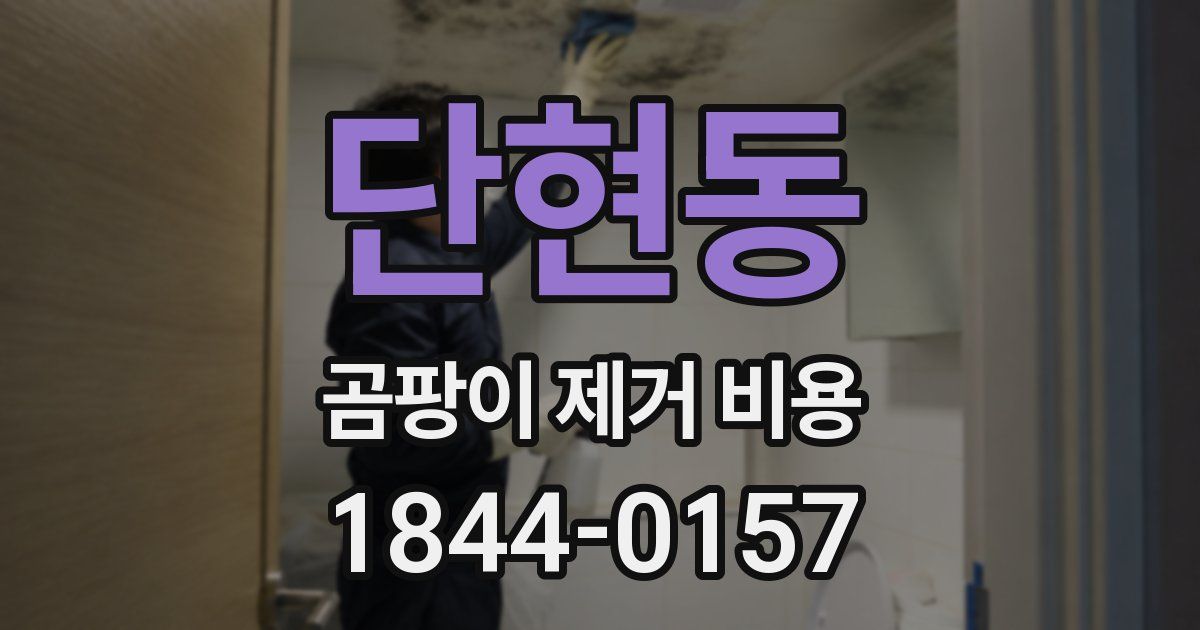 단현동 곰팡이 제거 비용