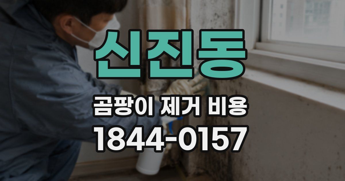 신진동 곰팡이 제거 비용