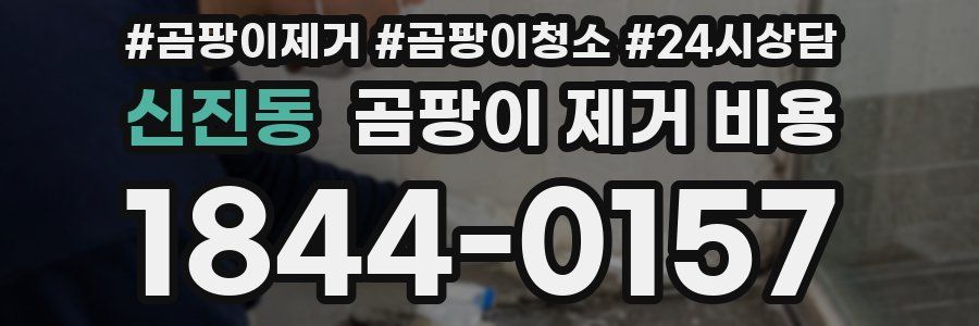 신진동 곰팡이 제거 비용