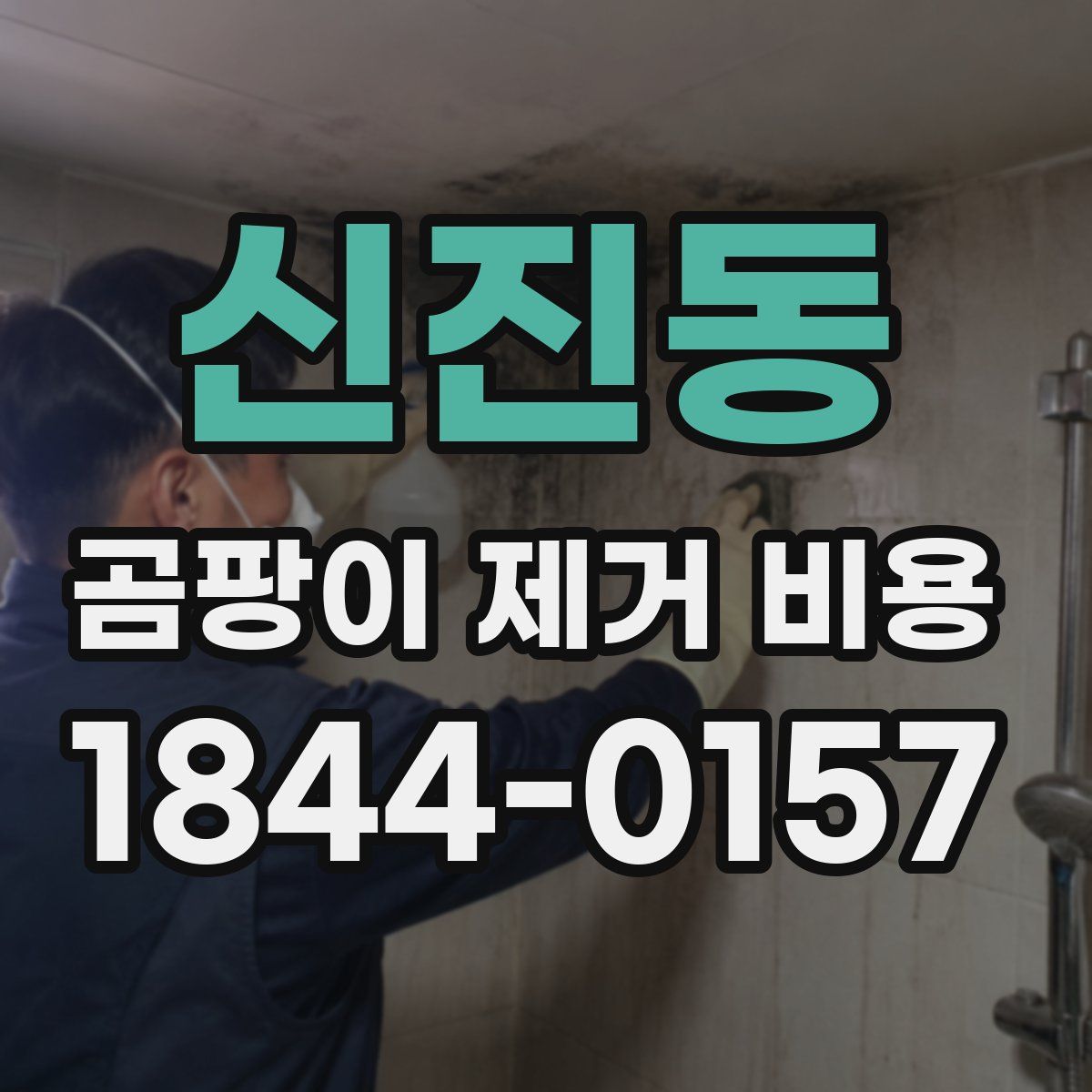 신진동 곰팡이 제거 비용