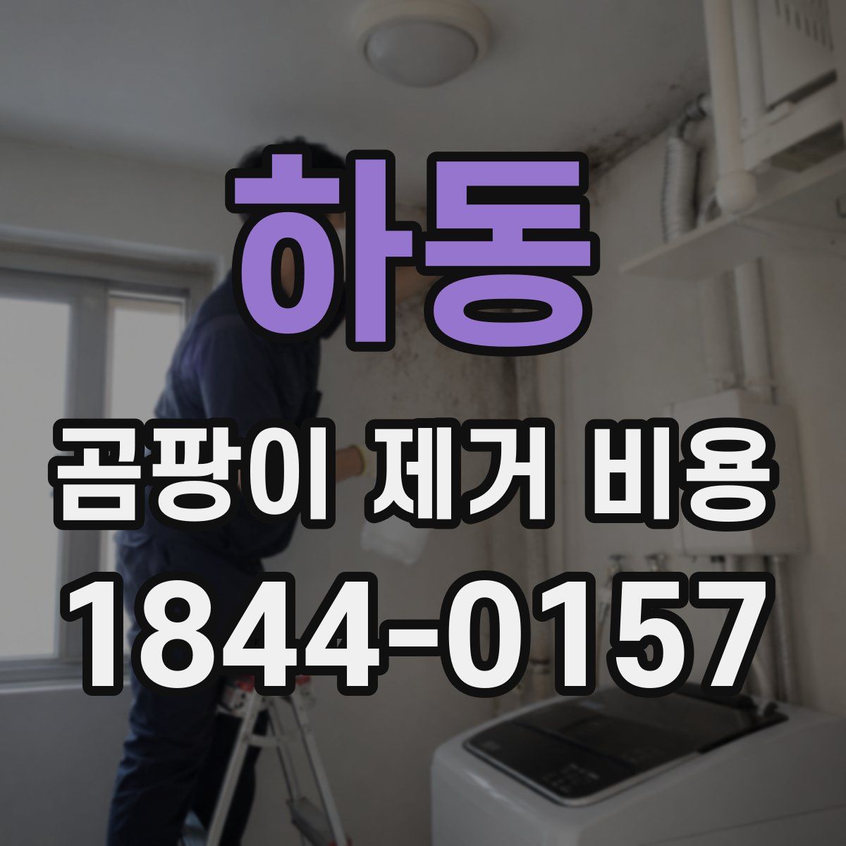 하동 곰팡이 제거 비용