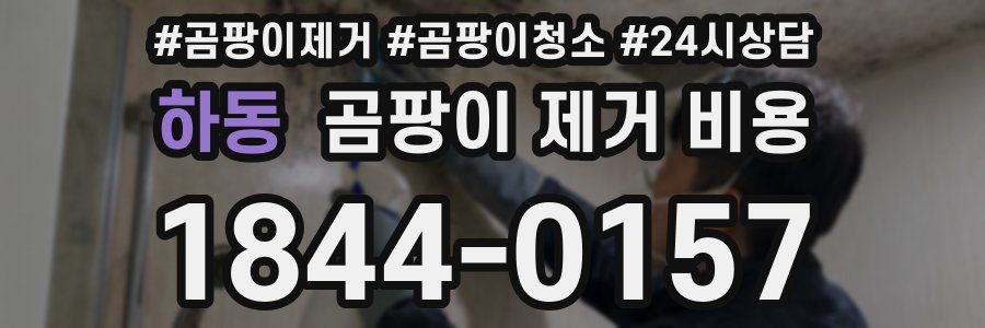 하동 곰팡이 제거 비용