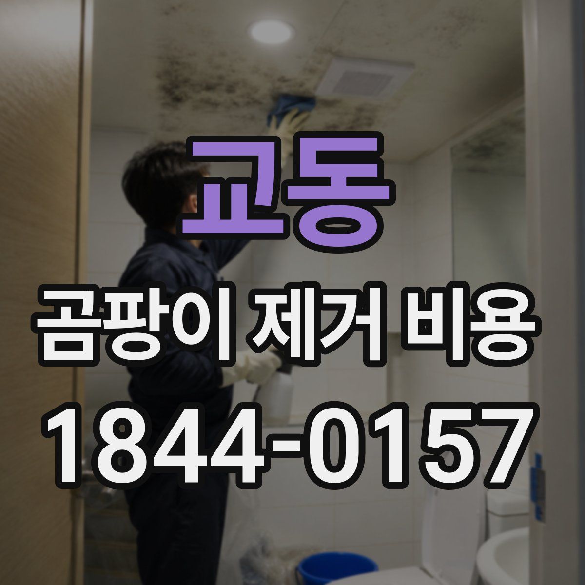 교동 곰팡이 제거 비용