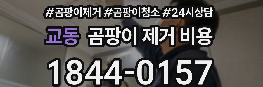교동 곰팡이 제거 비용