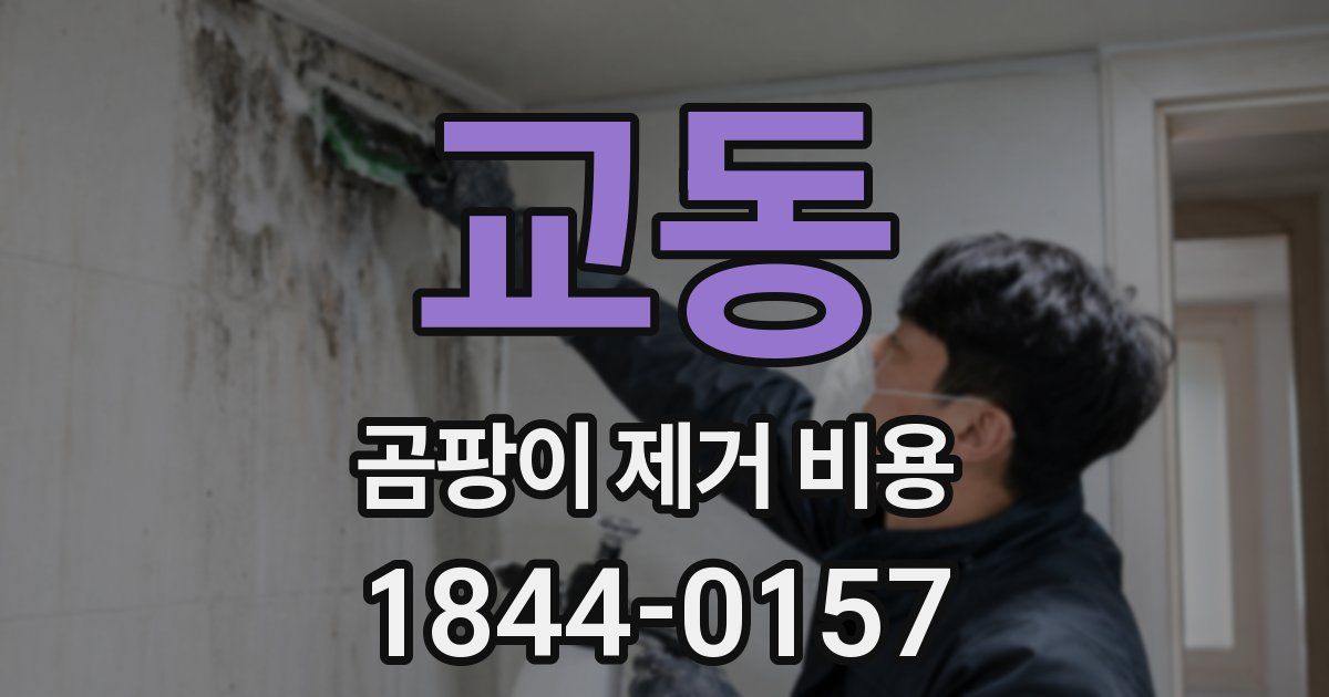 교동 곰팡이 제거 비용
