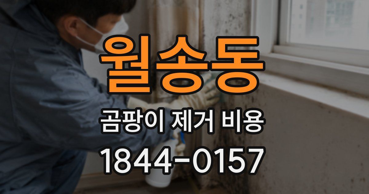 월송동 곰팡이 제거 비용
