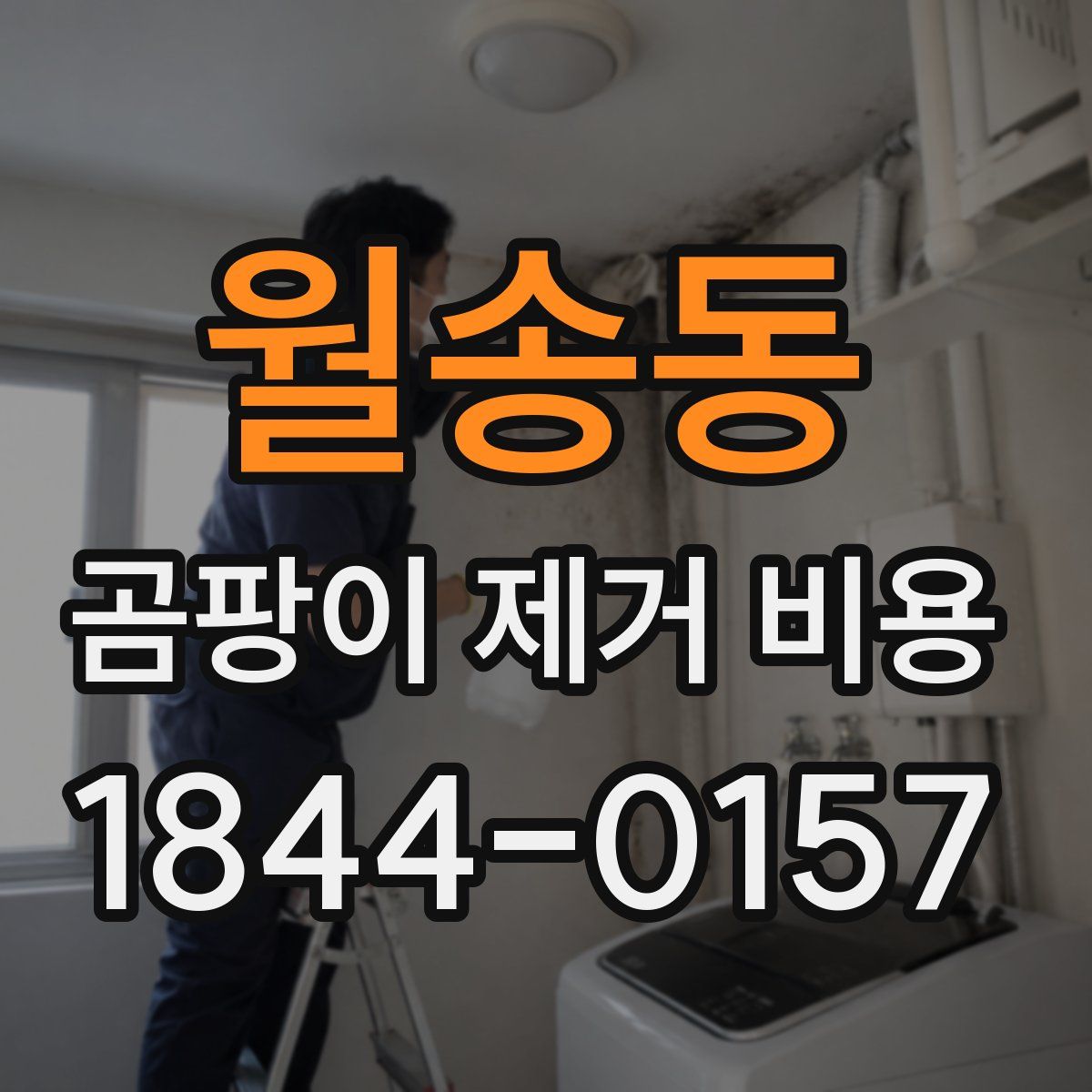 월송동 곰팡이 제거 비용