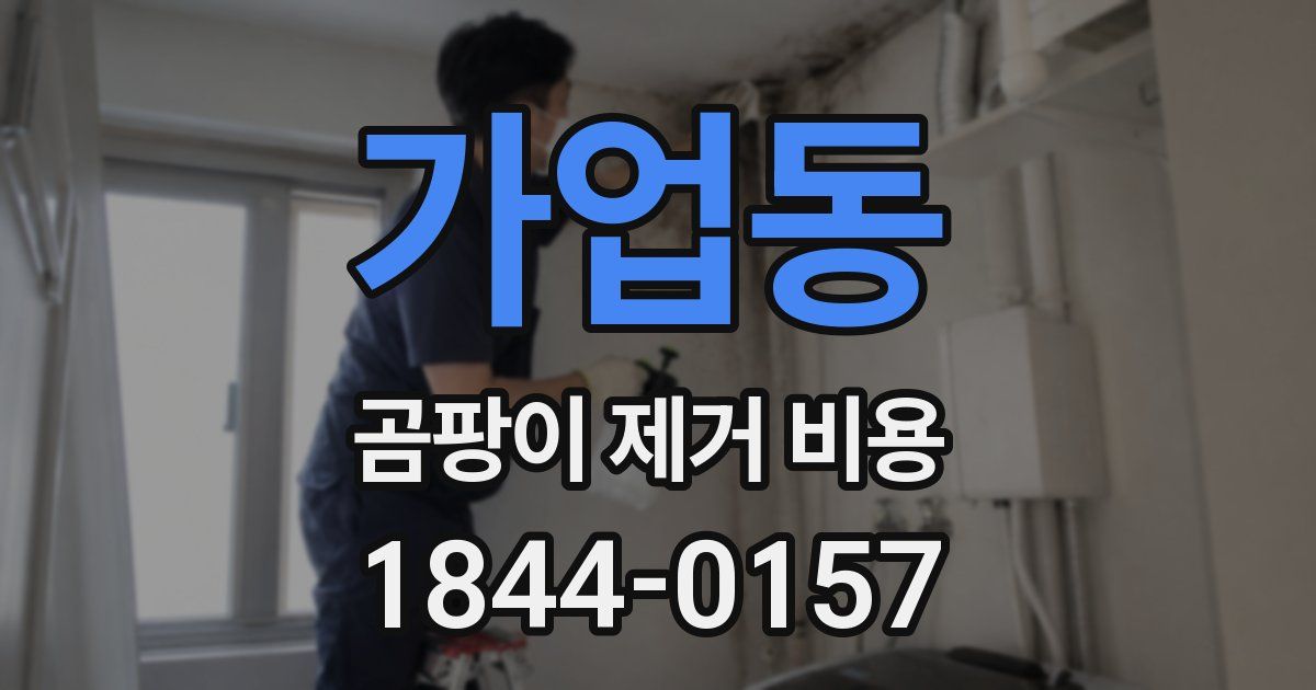 가업동 곰팡이 제거 비용