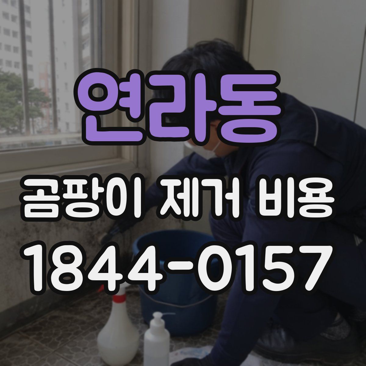 연라동 곰팡이 제거 비용