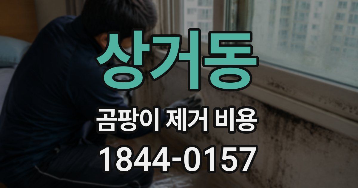 상거동 곰팡이 제거 비용