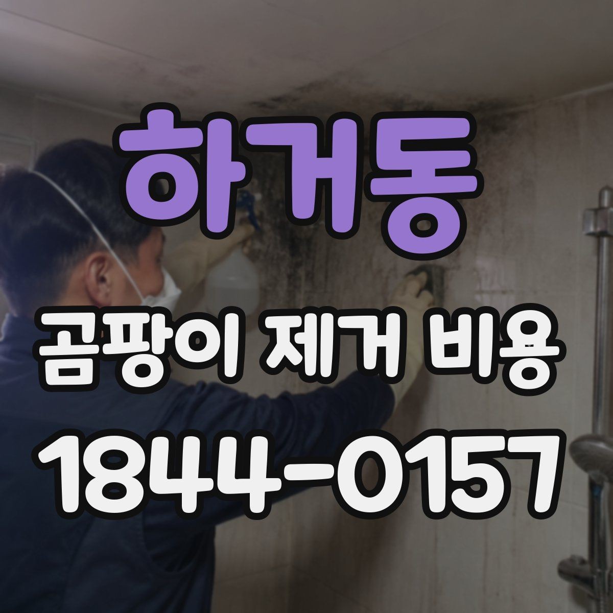 하거동 곰팡이 제거 비용 재발 방지 약제와 마감 처리 포함 여부