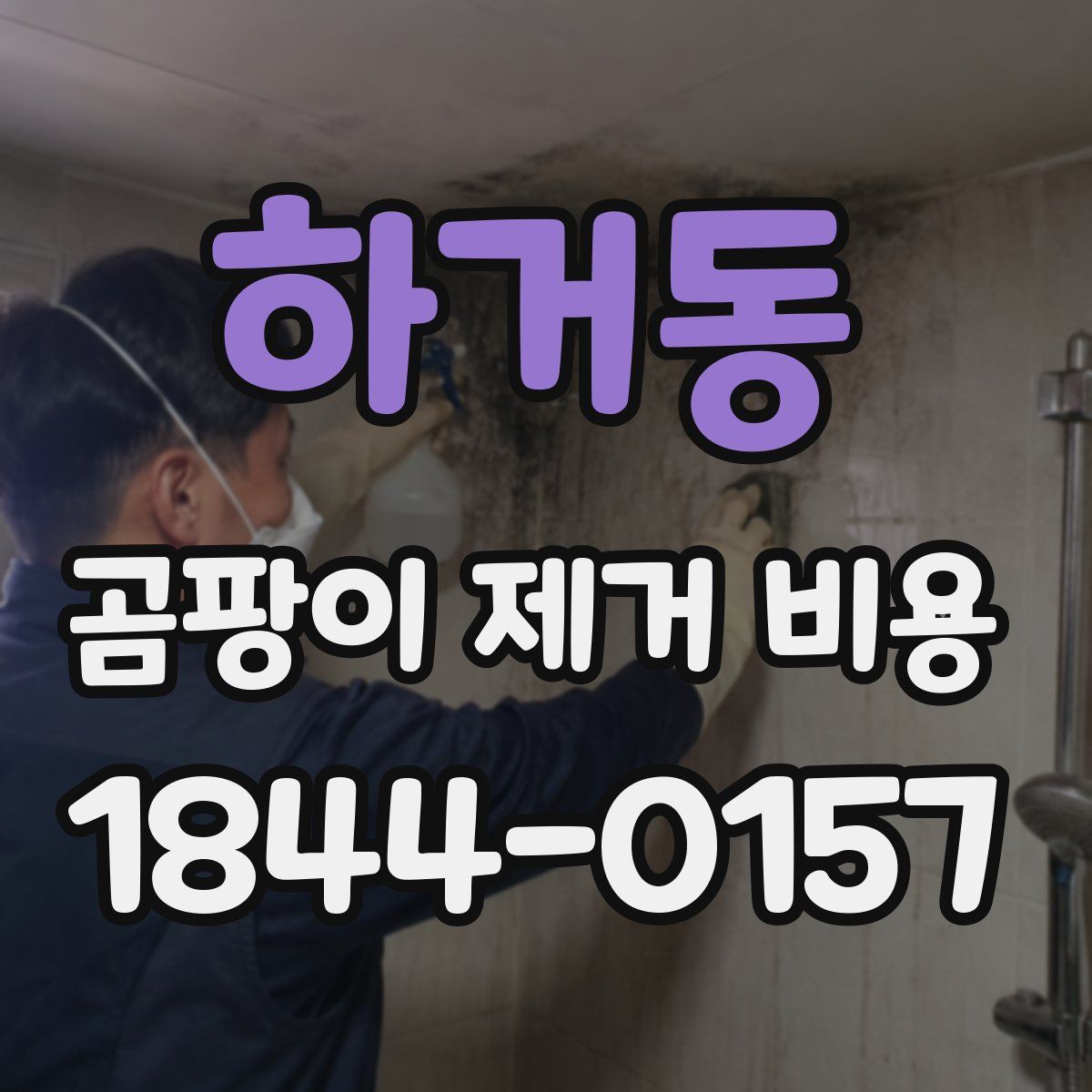 하거동 곰팡이 제거 비용
