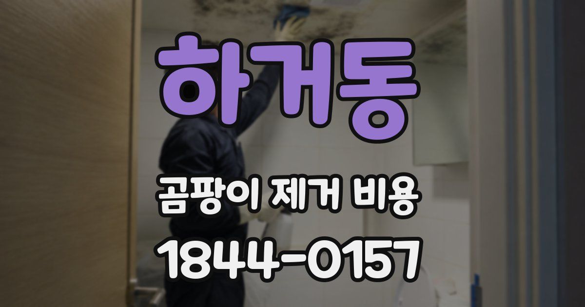 하거동 곰팡이 제거 비용