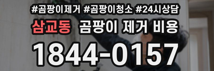 삼교동 곰팡이 제거 비용
