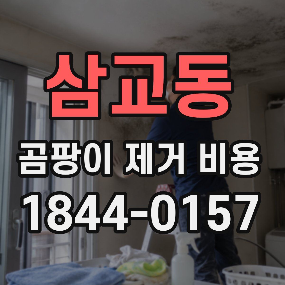삼교동 곰팡이 제거 비용