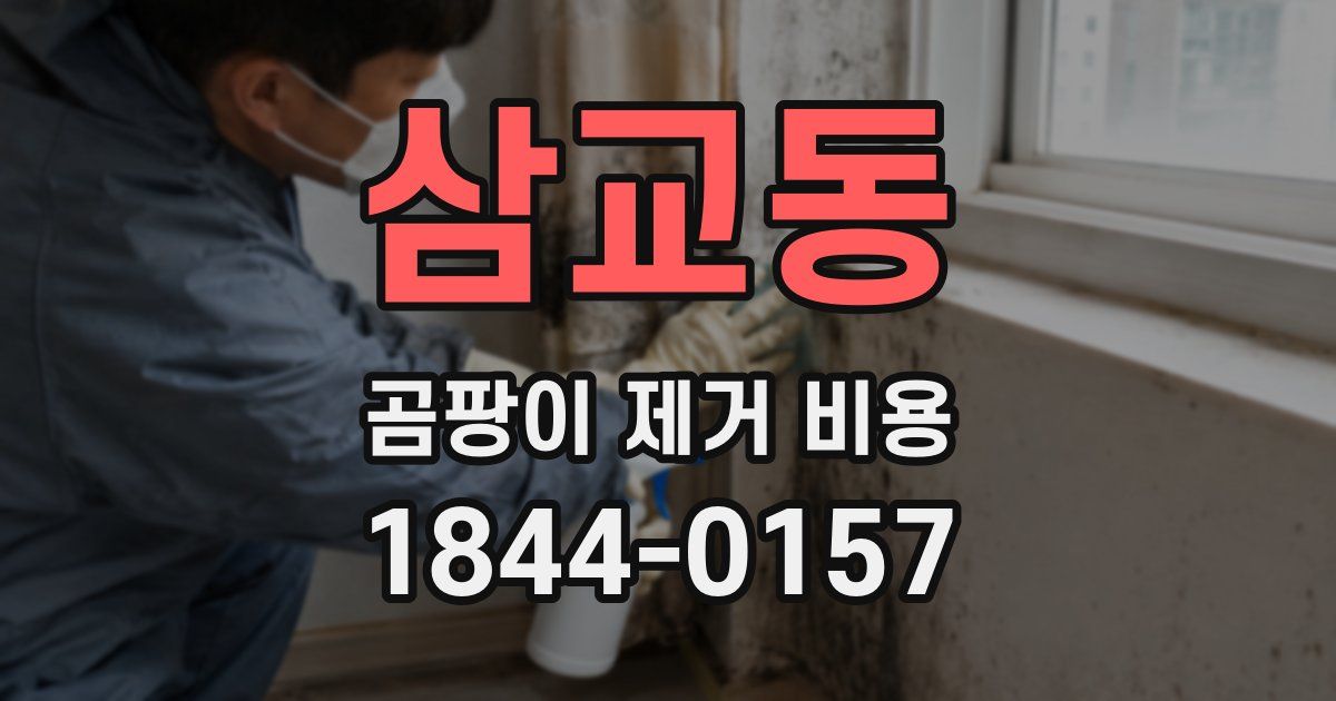 삼교동 곰팡이 제거 비용