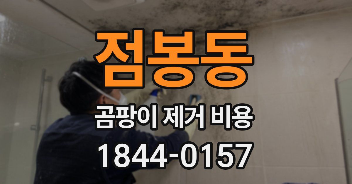 점봉동 곰팡이 제거 비용