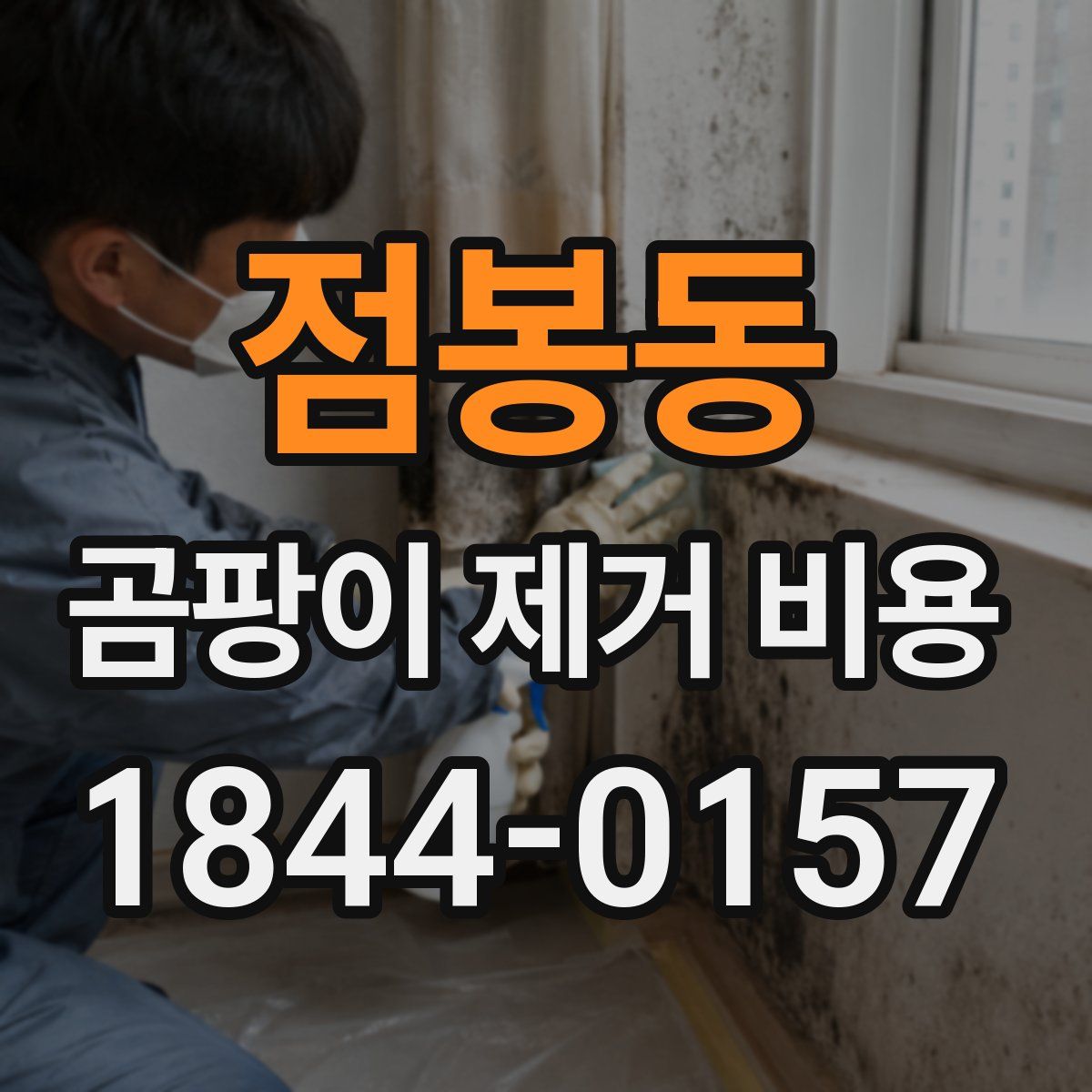 점봉동 곰팡이 제거 비용