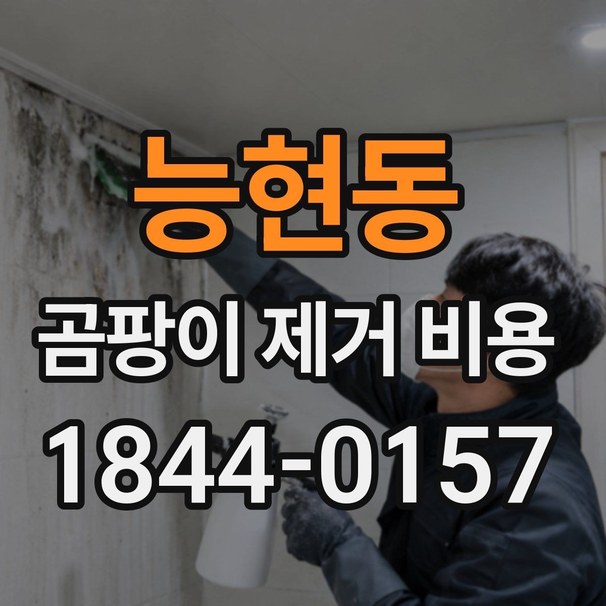 능현동 곰팡이 제거 비용 가구 이동 여부가 전체 금액에 미치는 영향
