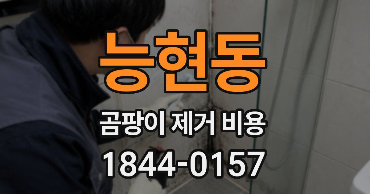 능현동 곰팡이 제거 비용