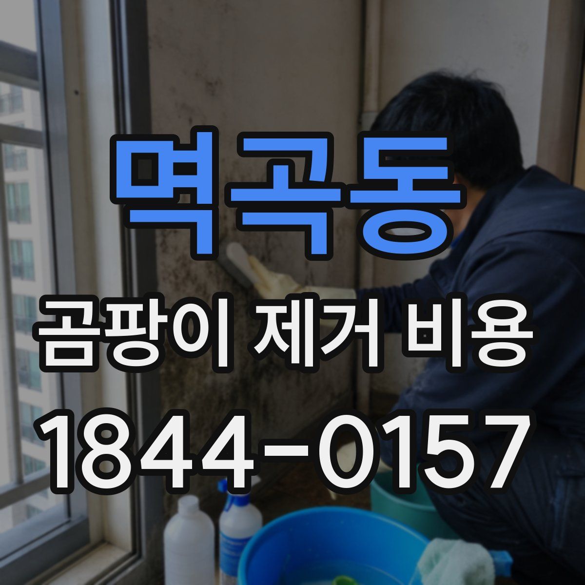 멱곡동 곰팡이 제거 비용