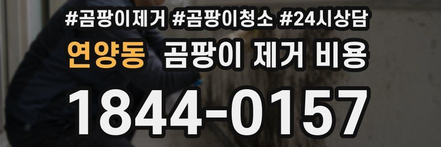 연양동 곰팡이 제거 비용