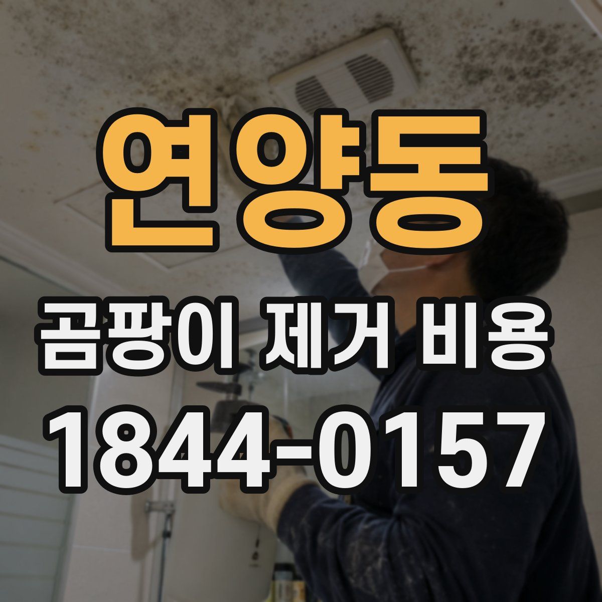 연양동 곰팡이 제거 비용