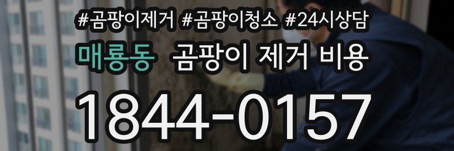 매룡동 곰팡이 제거 비용