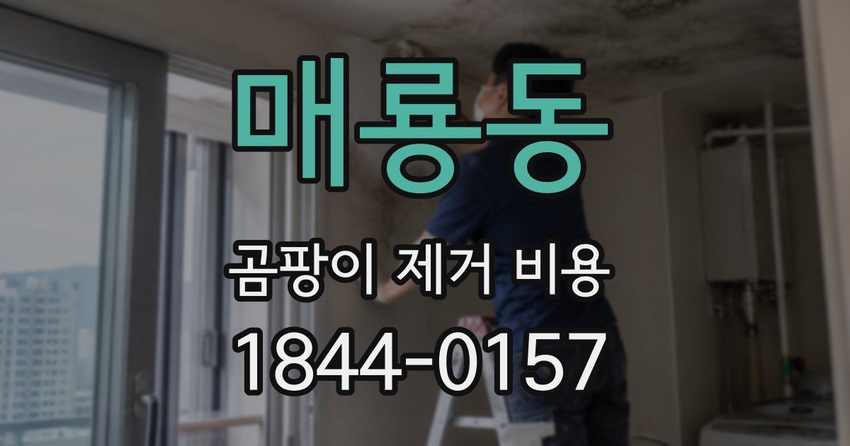 매룡동 곰팡이 제거 비용