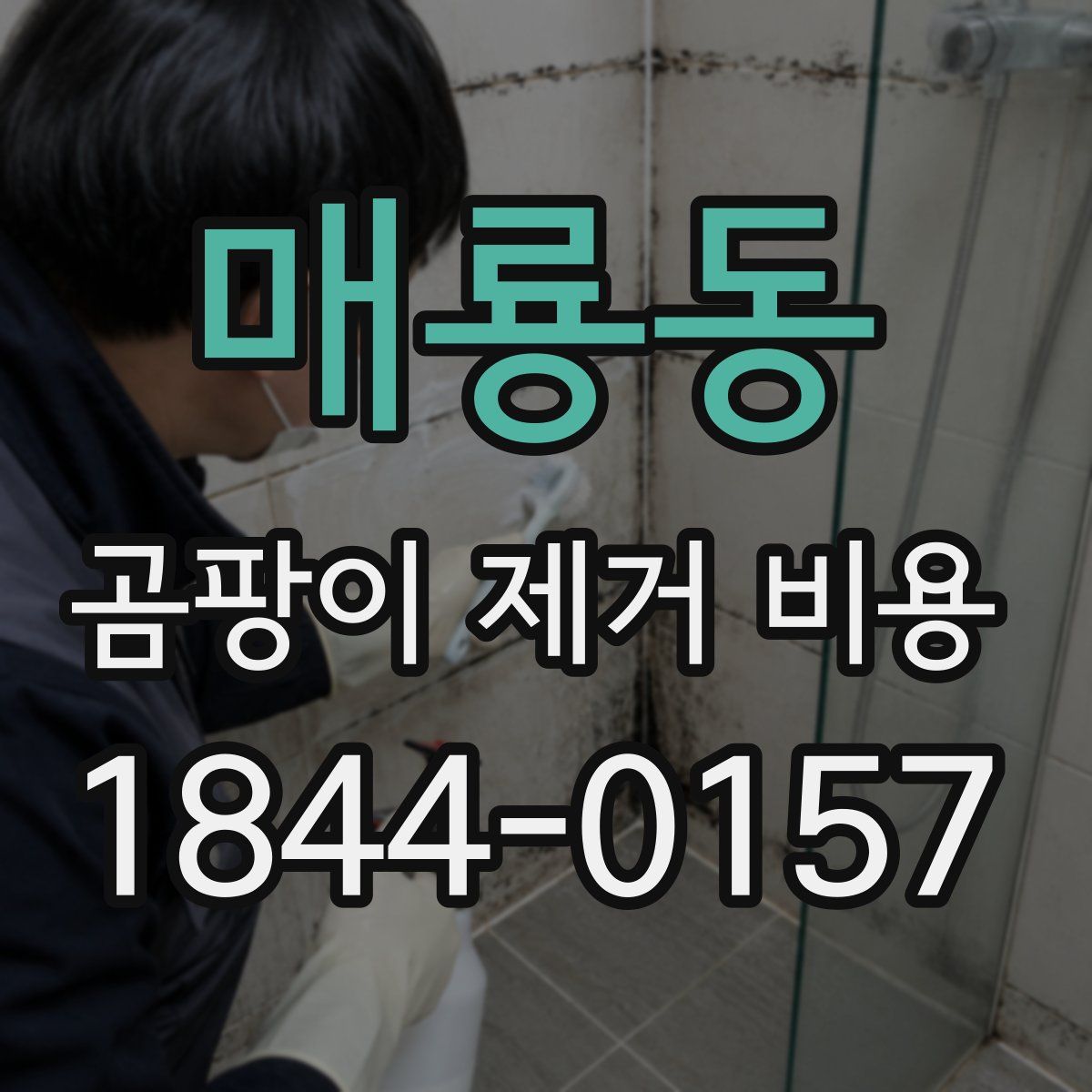 매룡동 곰팡이 제거 비용
