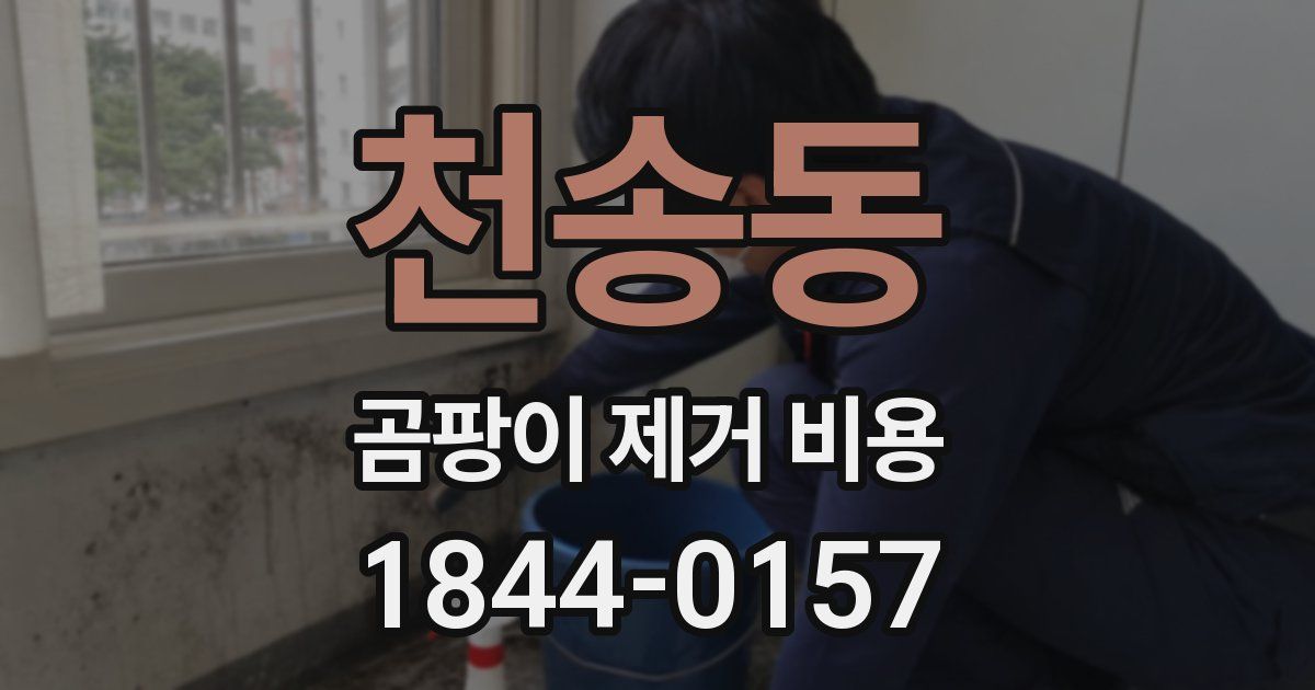 천송동 곰팡이 제거 비용