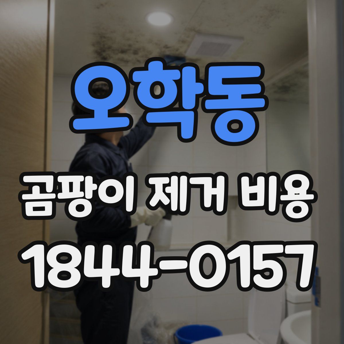 오학동 곰팡이 제거 비용
