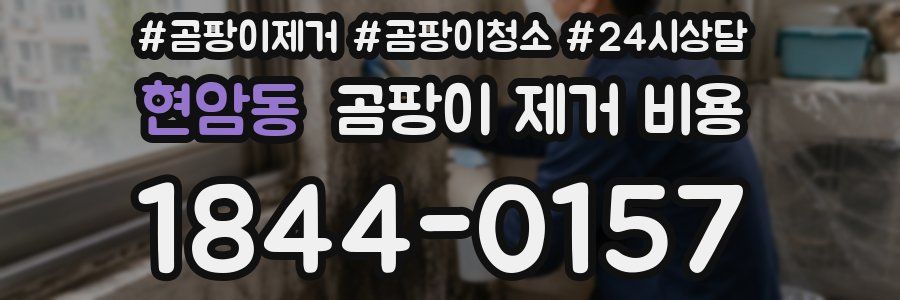 현암동 곰팡이 제거 비용