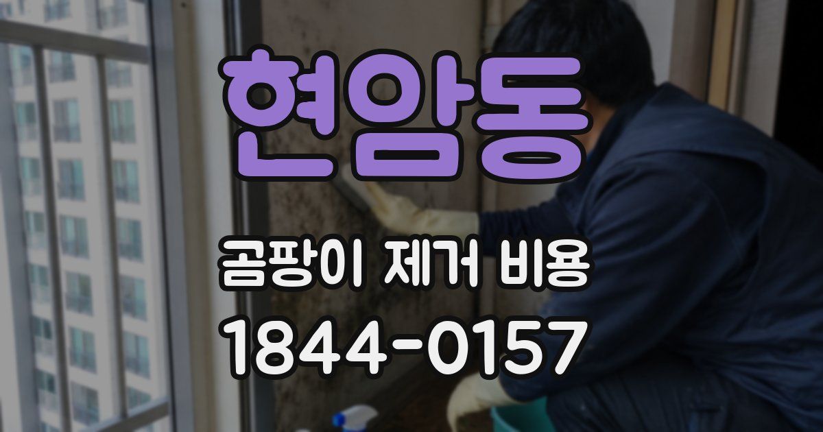현암동 곰팡이 제거 비용