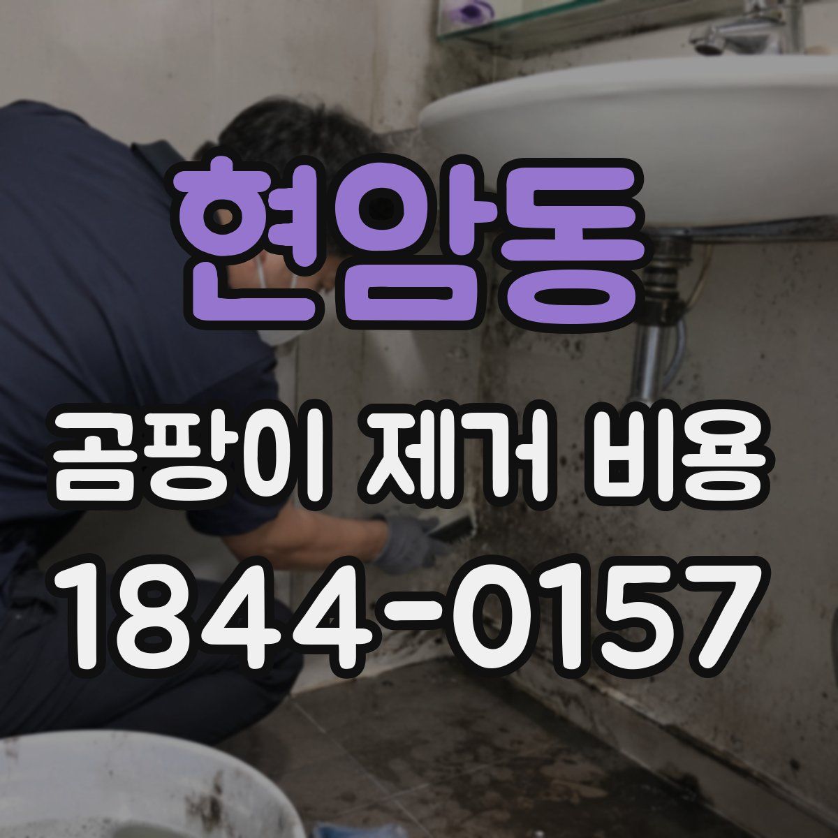 현암동 곰팡이 제거 비용